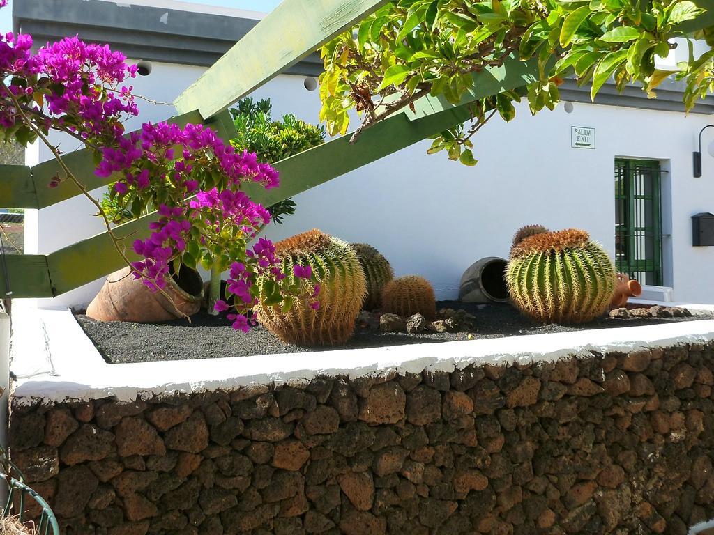 Apartamentos Guacimeta Matagorda  Екстер'єр фото